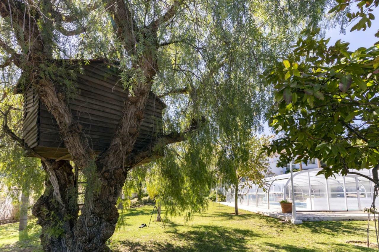 Villa Tocororo En Pinos De Alhaurin Alhaurín de la Torre Esterno foto